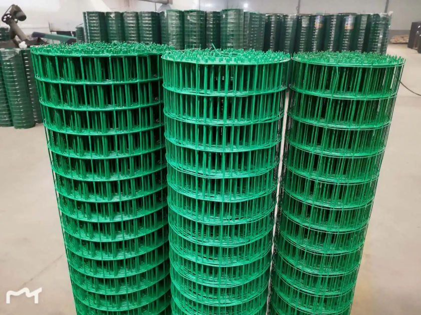 酒泉荷兰网